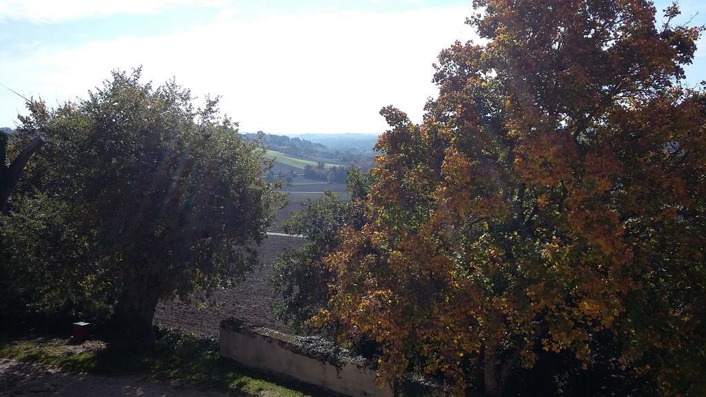 Castelnau-sur-lʼAuvignon Chambres D'Hotes Domaine De La Rose Des Vents מראה חיצוני תמונה