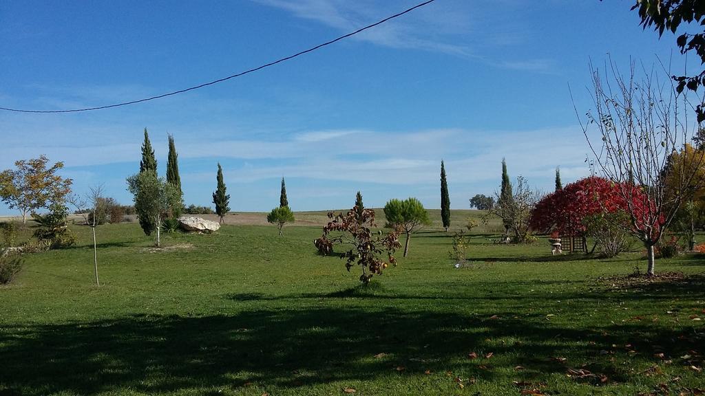 Castelnau-sur-lʼAuvignon Chambres D'Hotes Domaine De La Rose Des Vents מראה חיצוני תמונה