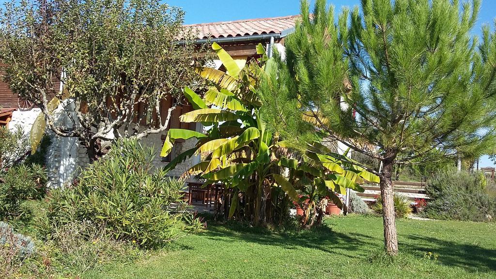 Castelnau-sur-lʼAuvignon Chambres D'Hotes Domaine De La Rose Des Vents מראה חיצוני תמונה