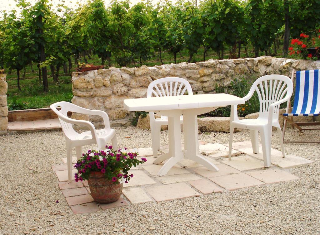Castelnau-sur-lʼAuvignon Chambres D'Hotes Domaine De La Rose Des Vents מראה חיצוני תמונה